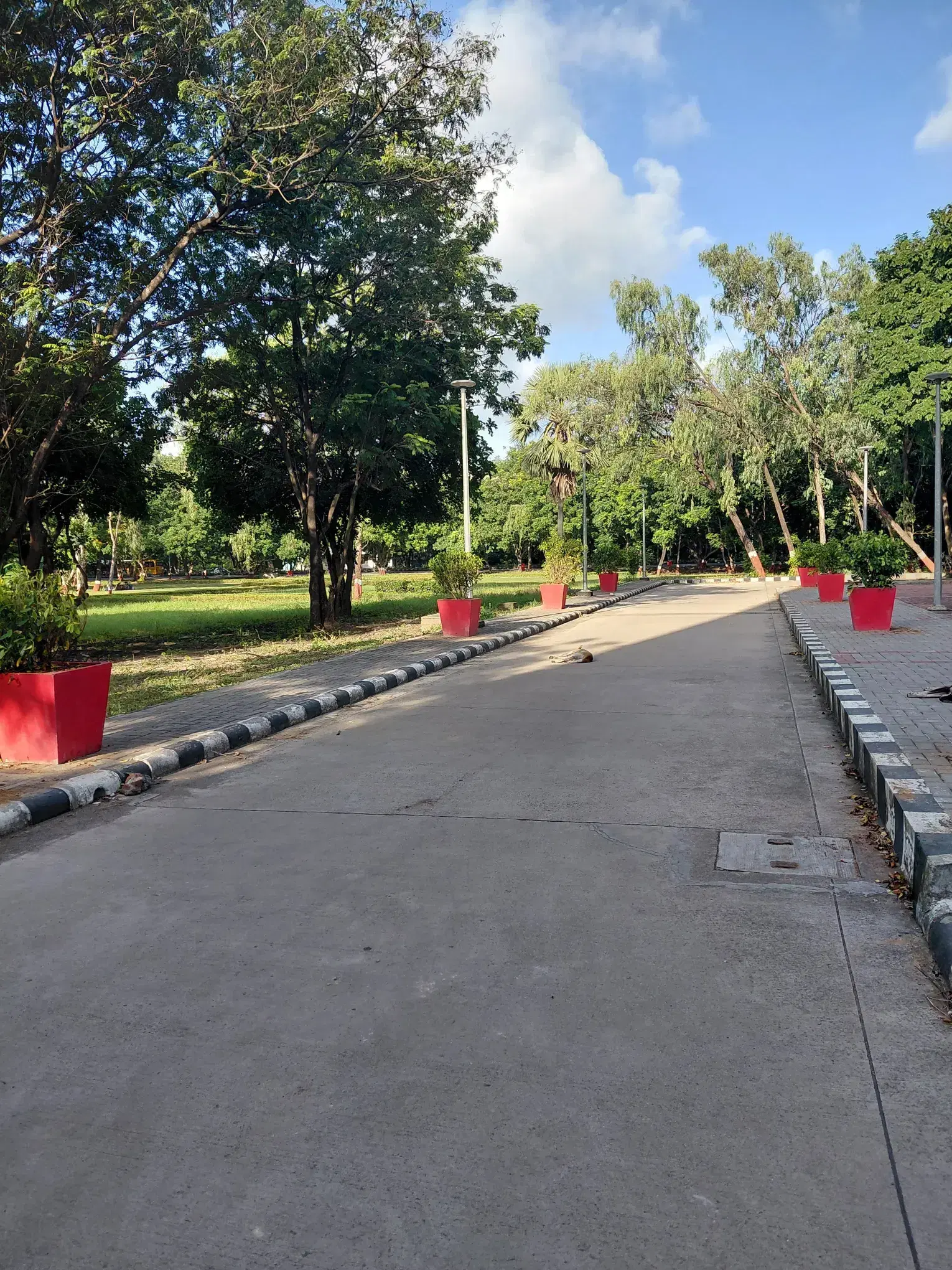 NIT Surat Academic Building photo 30